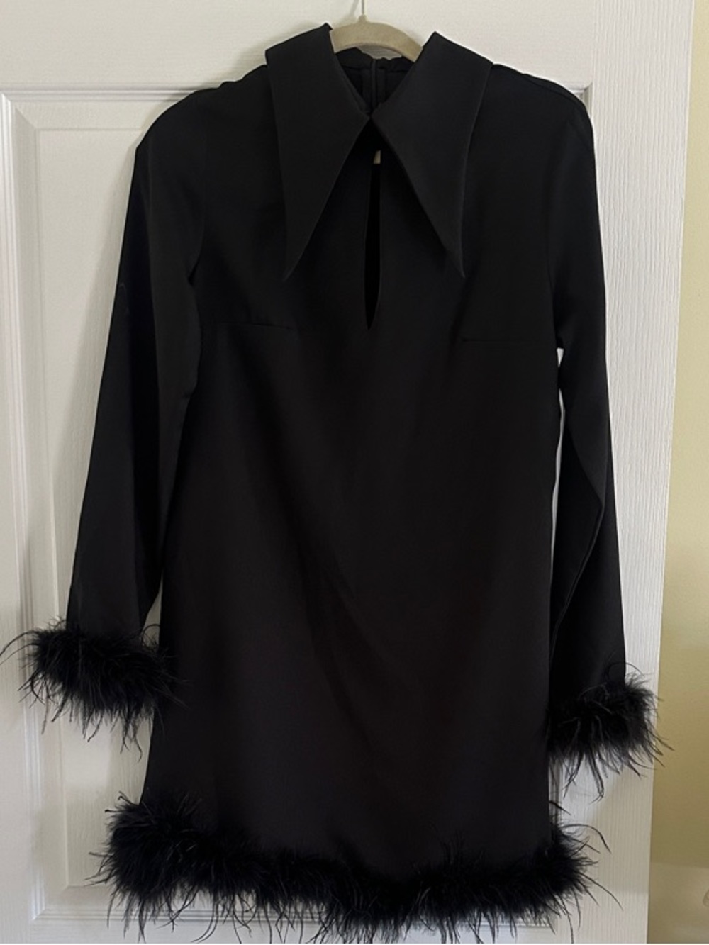 SHEIN Black Long Sleeve Feather Trim Mini Dress